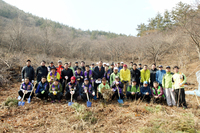 나무심기 사업 실시