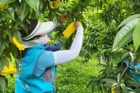 순천희망L.C 2023년 6월 봉사활동