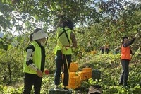 광양가야L.C 2024년 10월 봉사활동